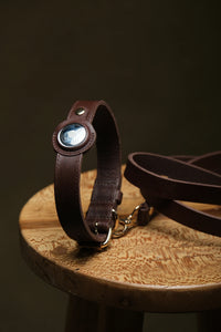 Collier pour chien en cuir compatible AirTag