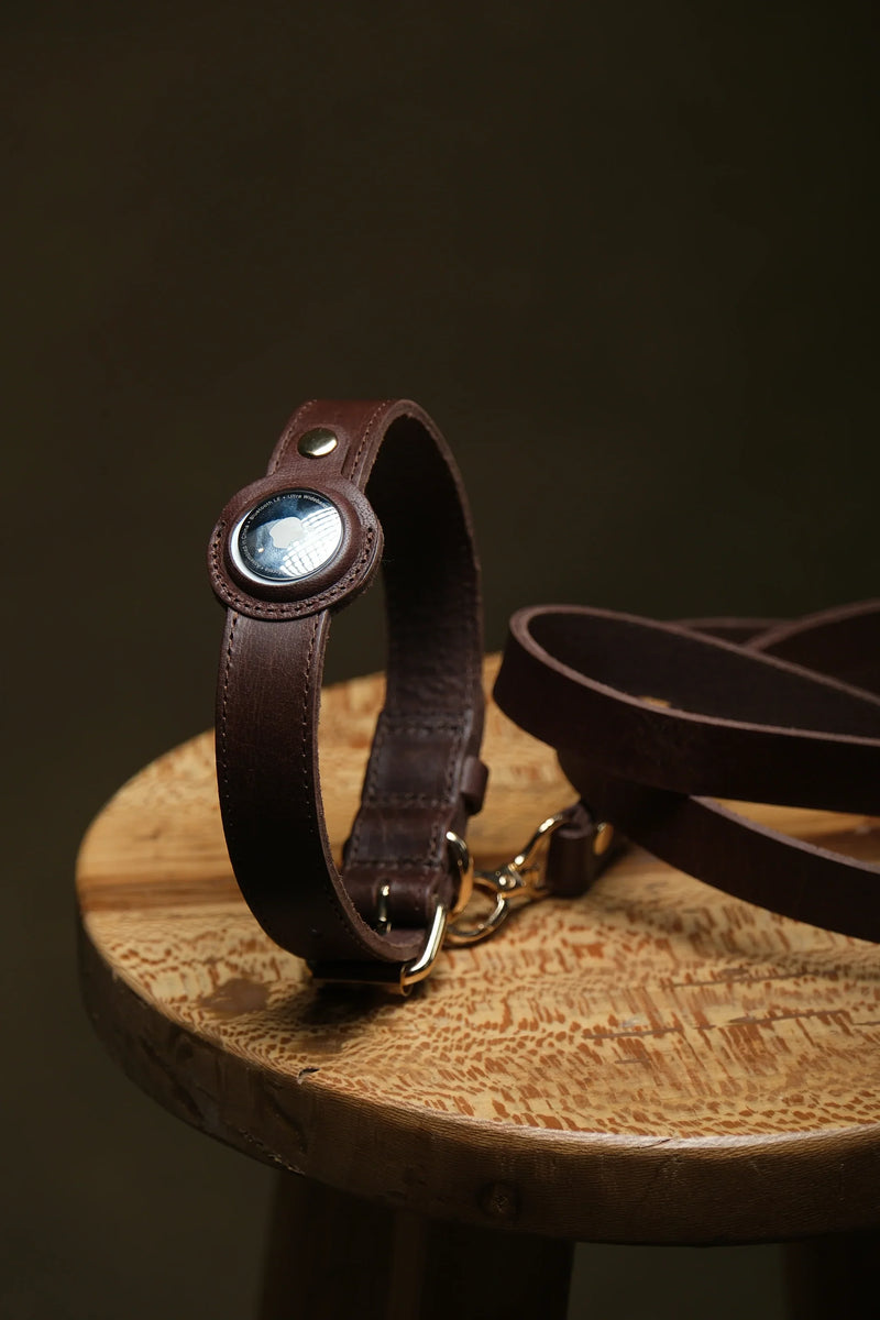 Leather dog collar with an AirTag holder and matching leash