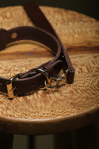 AirTag Compatible Leather Dog Collar