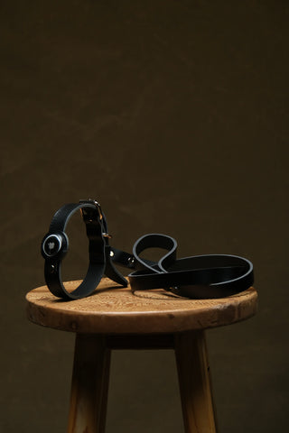 AirTag Compatible Leather Dog Collar