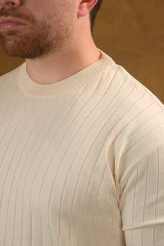 Striped Knit Men's T-Shirt | Crew Neck
